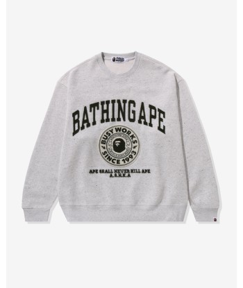 COLLEGE GRAPHIC CREWNECK - GRAY Les êtres humains sont 