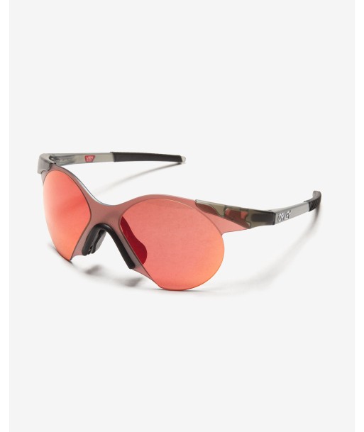 OAKLEY SUB ZERO N - MATTEGREYSMOKE brillant des détails fins