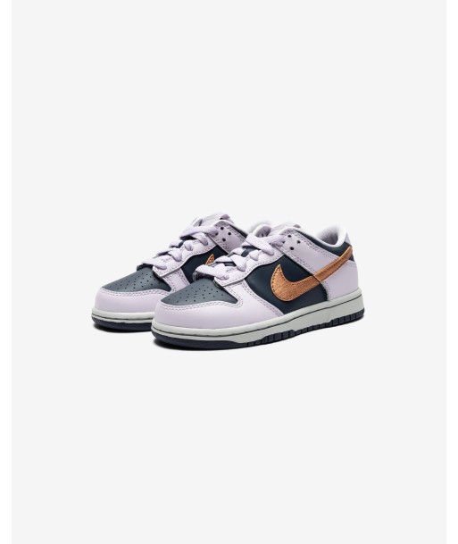 NIKE PS DUNK LOW SE - THUNDERBLUE/ METALLICCOPPER de l' environnement