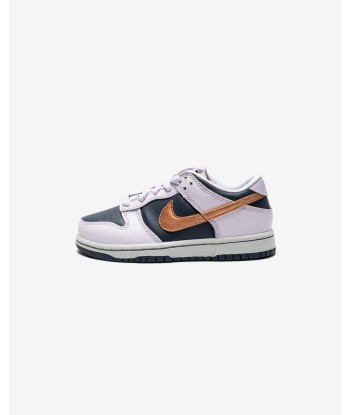 NIKE PS DUNK LOW SE - THUNDERBLUE/ METALLICCOPPER de l' environnement