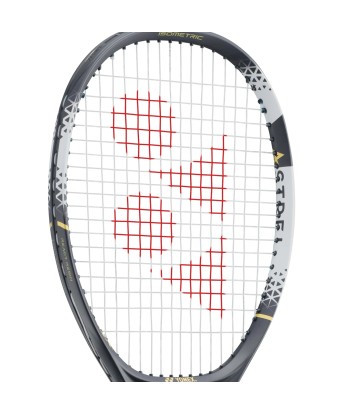 Yonex ASTREL 105 prix