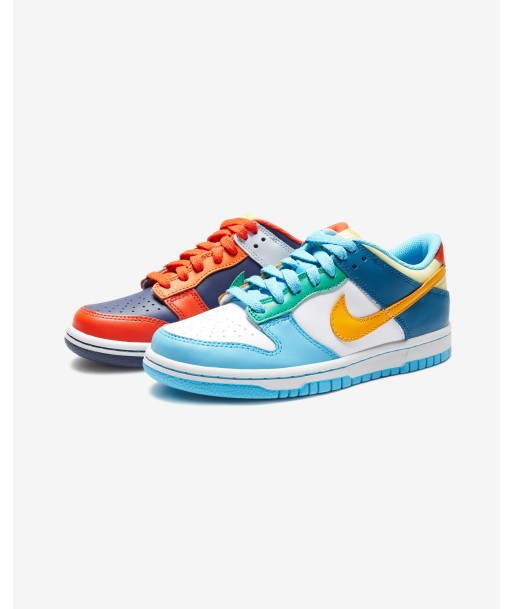 NIKE GS DUNK LOW - MULTICOLOR En savoir plus